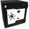 DOMINATOR FX SERIES MAXIMUM SECURITY SAFE FX-80 Safes & Key Storage